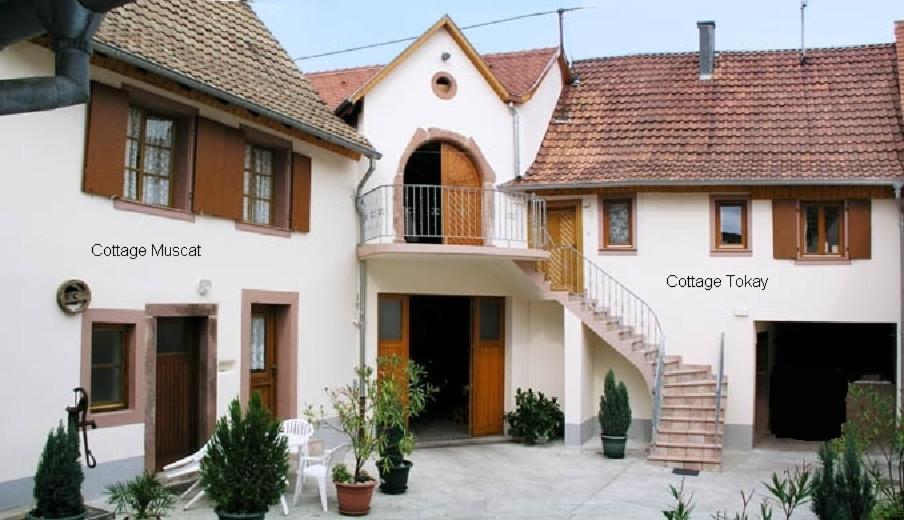 Gites Le Tokay Et Le Muscat Gertwiller Bilik gambar